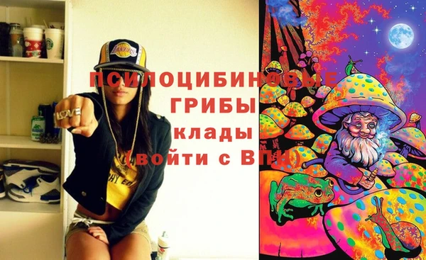 твердый Арсеньев
