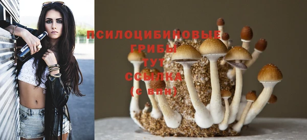 твердый Арсеньев