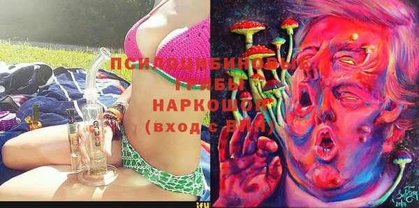 твердый Арсеньев