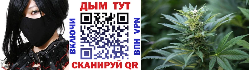 Каннабис SATIVA & INDICA  Волгоград 
